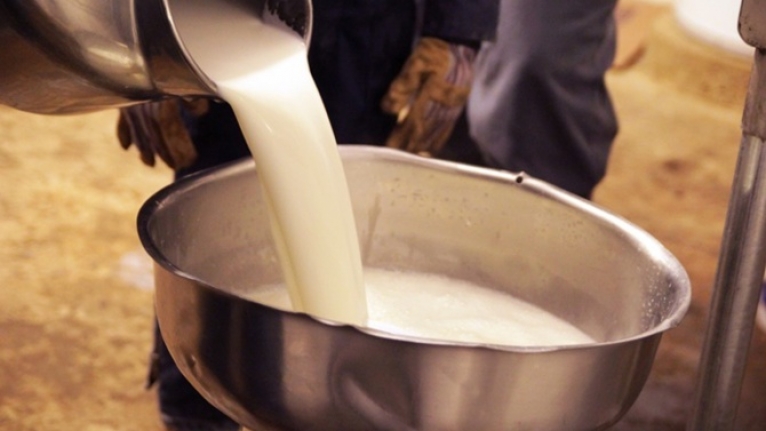 Çin’e süt ve süt ürünleri ihracatının önü açıldı