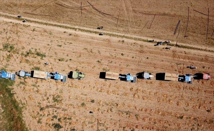 Gaziantep'li çiftçi uydu verilerine göre traktör kullanacak