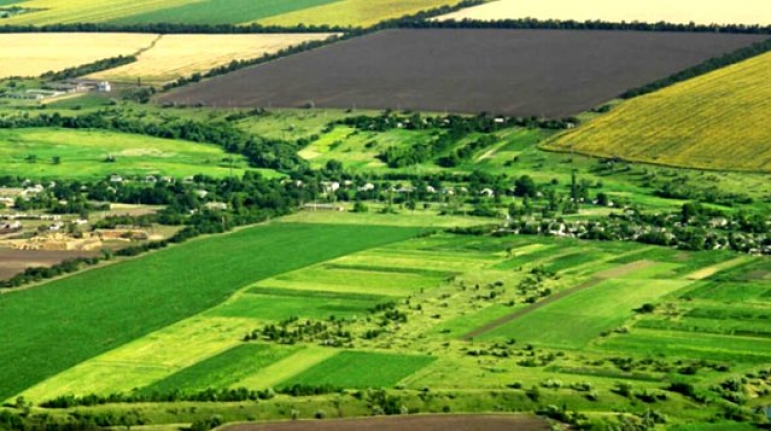 Hazineye ait tarım arazileri, yeterli toprağı olmayan çiftçilere kiralanacak
