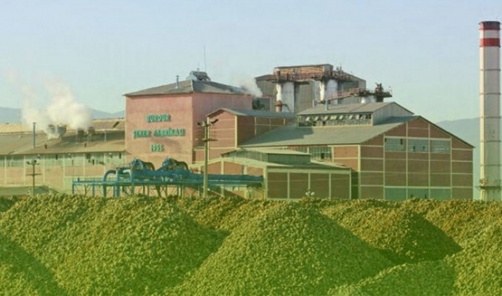 Türkşeker'den fabrika ve şeker ithalat iddialarına yanıt