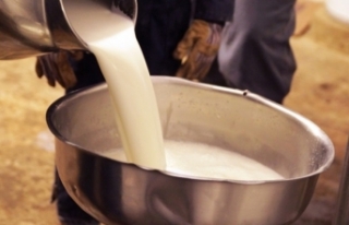 Çin’e süt ve süt ürünleri ihracatının önü...