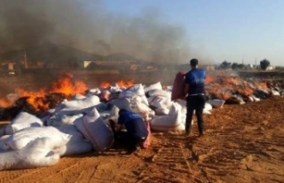 Gaziantep'de 7,5 ton küflenmiş biber imha edildi
